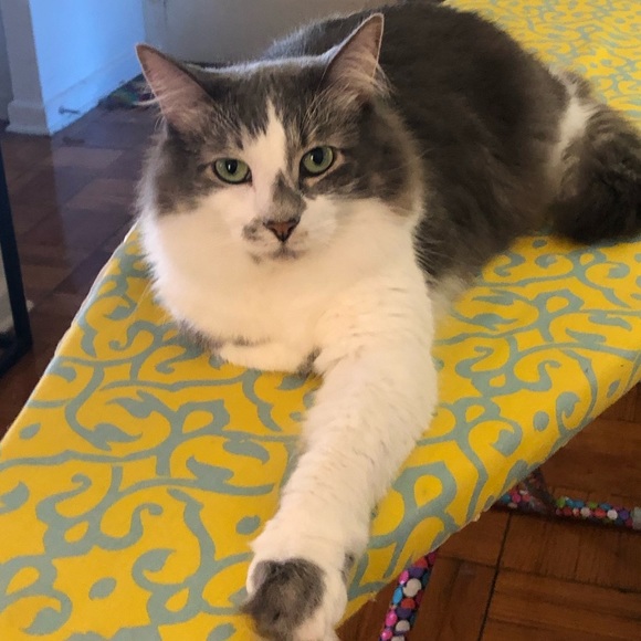 Meet your Posher, Megan - Picture 1 of 10